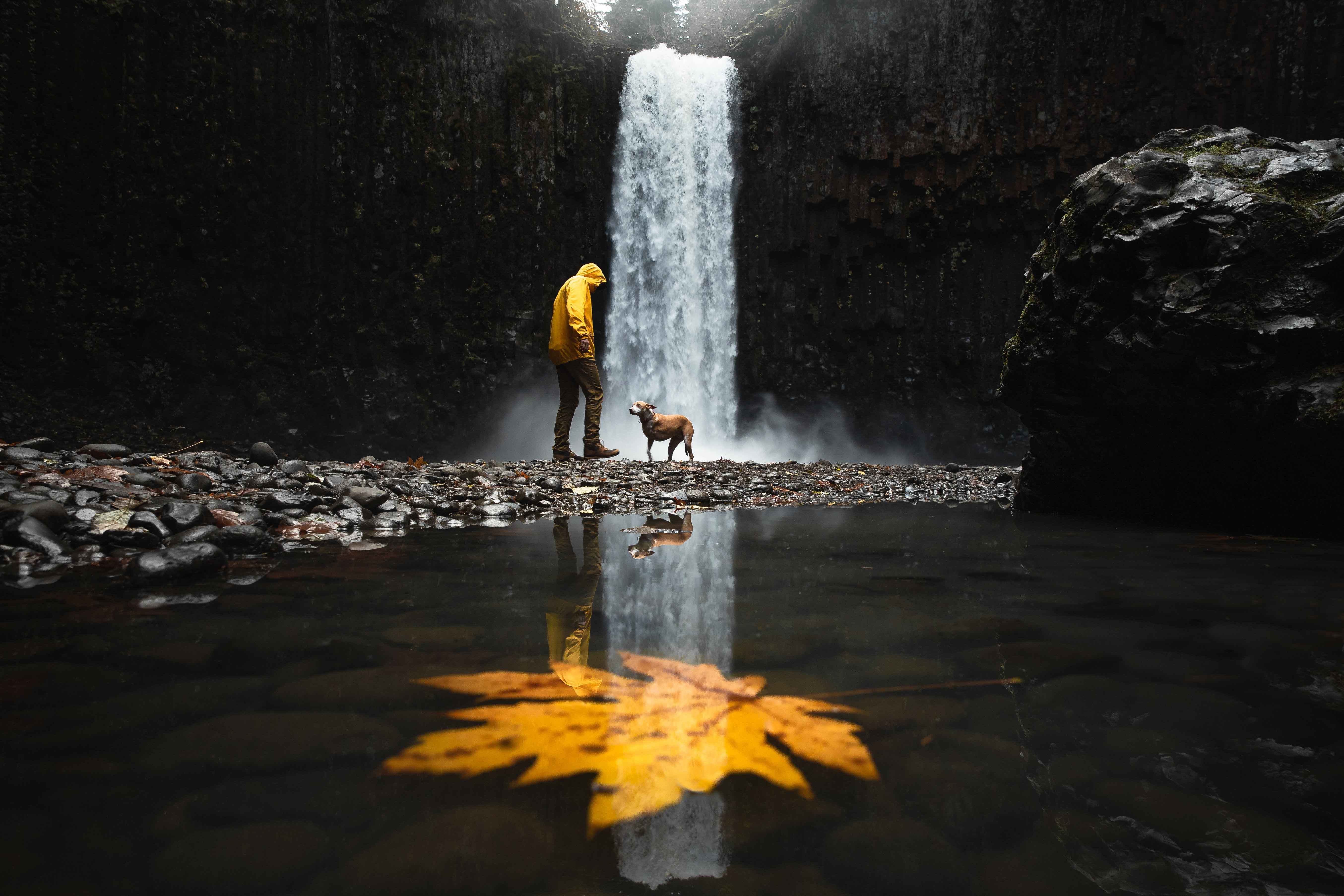 A person wearing a yellow jacket stands with a dog at Abiqua Falls in Oregon during the fall. There is a yellow leaf in the reflection of the waterfall.