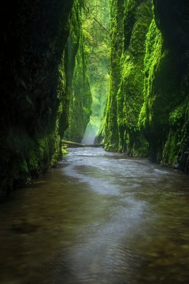 Landscape photography of Oneonta Gorge in the Columbia River Gorge, Oregon