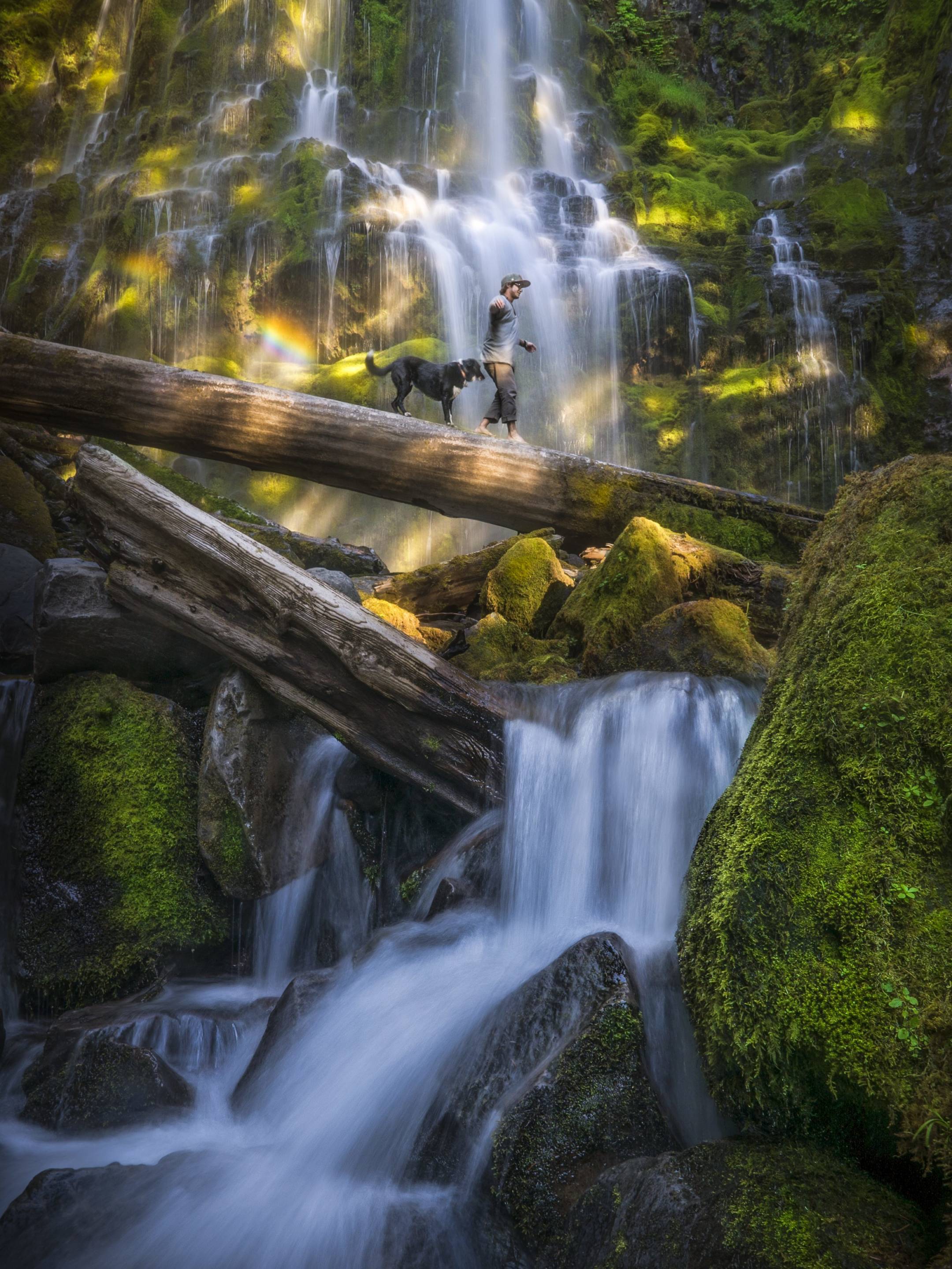 Landscape photography of a boy and his dog on a log at Proxy Falls, Oregon