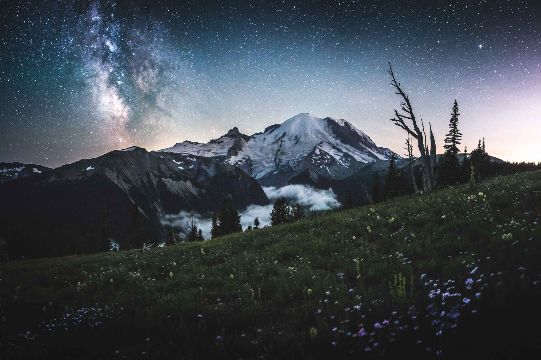 Night photography of the Milkyway over Mount Rainier near Sunrise Visitors Center, Washington Photo by Andrew Studer