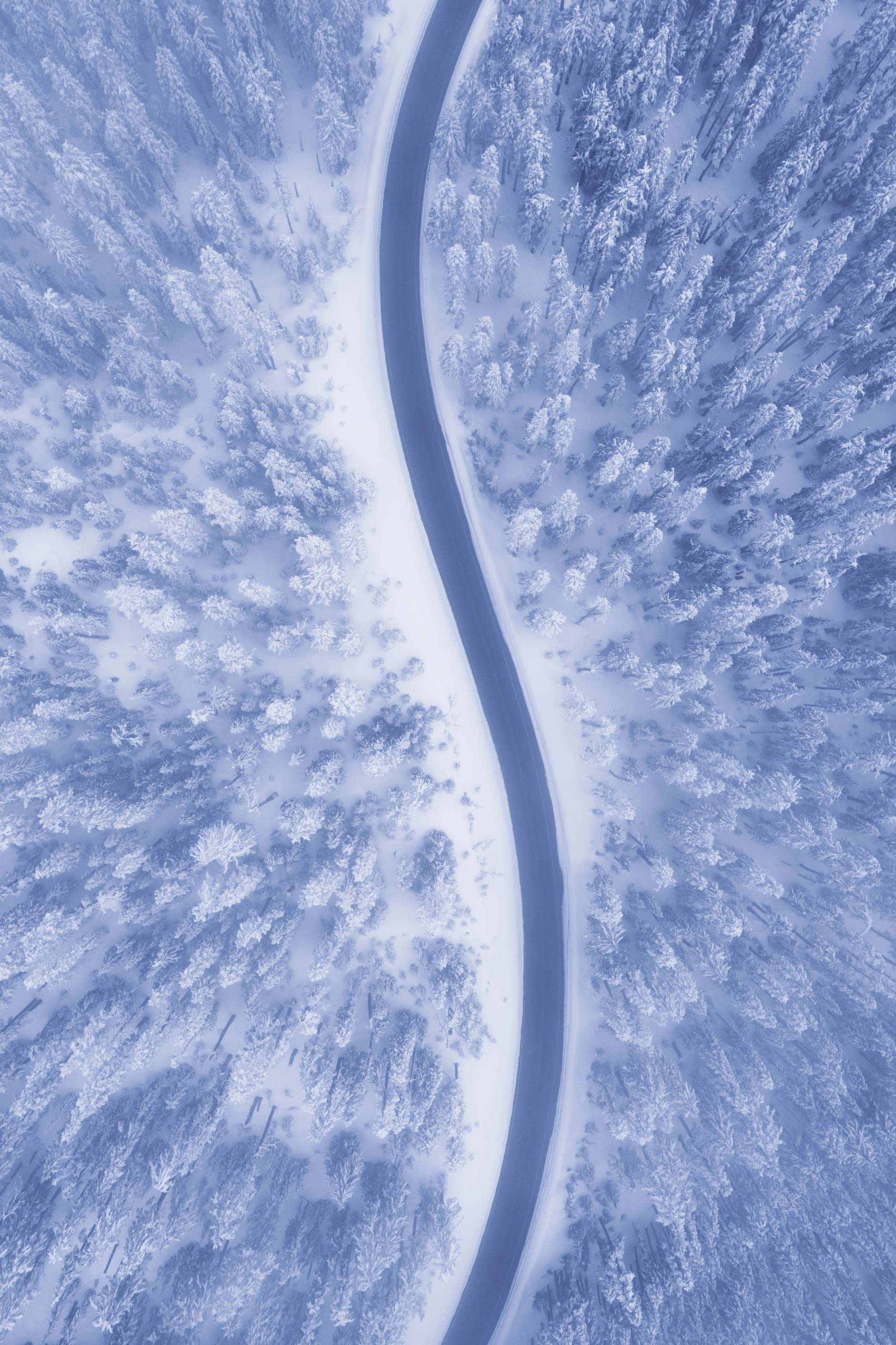 Aerial photography of a snowy forest road on Mount Hood, Oregon Photo by Andrew Studer