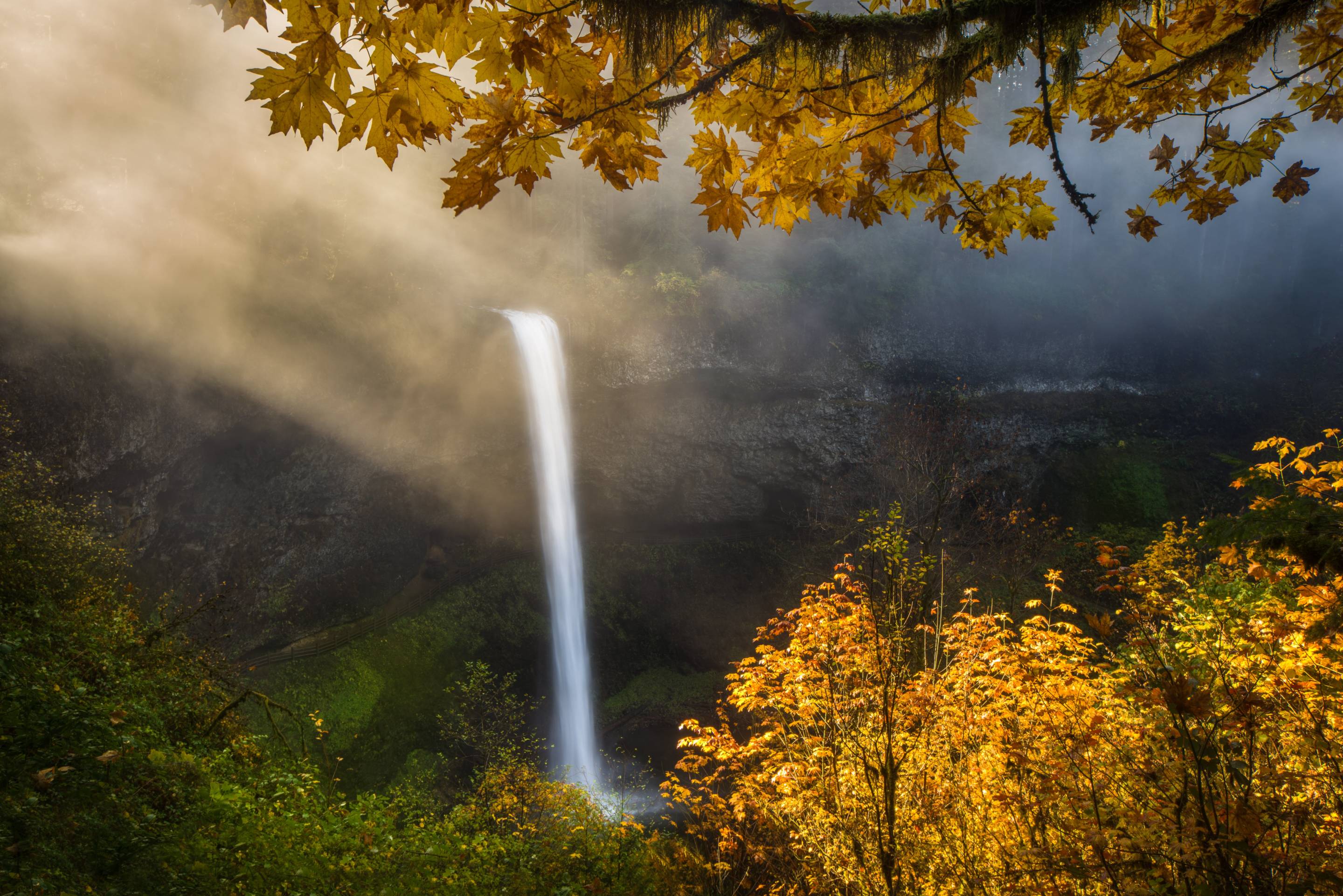 Landscape photography of autumn leaves at a waterfall at Silver Falls State Park, Oregon