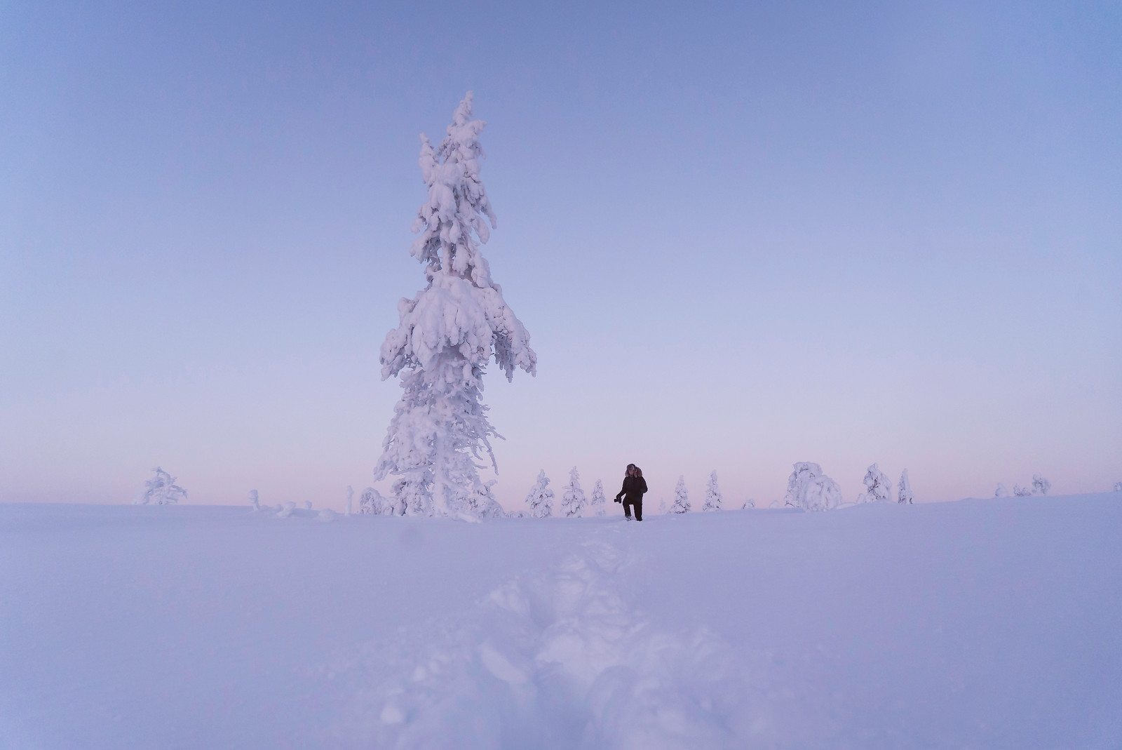 A person hikes through the snowy trees in Lapland, Finland during winter