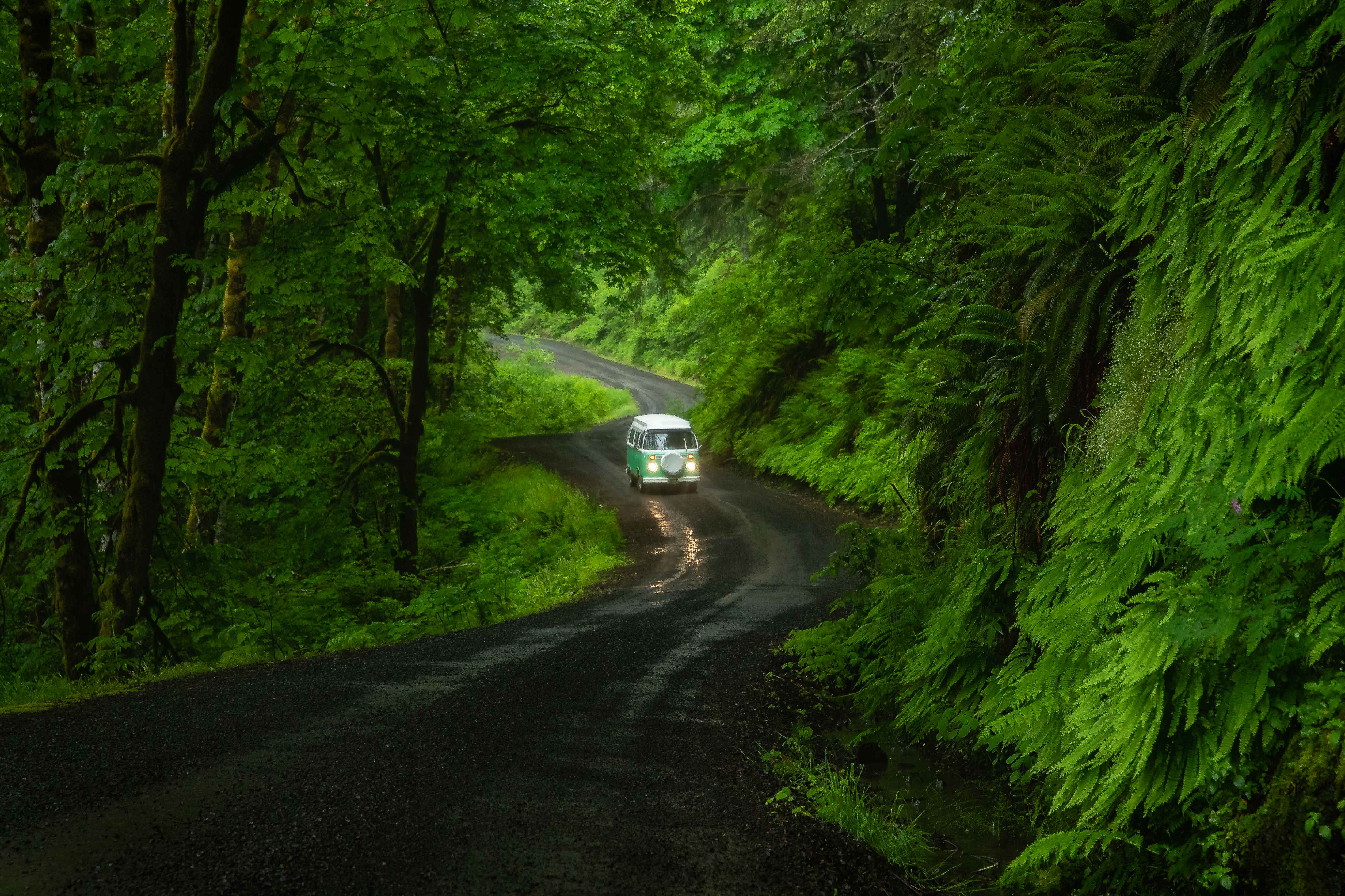 A blue VW Bus drives on a green forest road in the pacific northwest