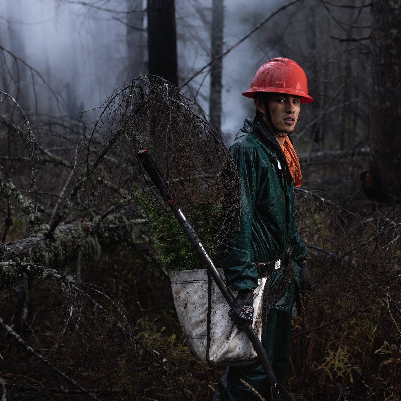 Photography of tree planters replanting douglas fir saplings in Oregon's Santiam State Forest after the Beachie Creek Fire of 2020. Shot on assignment for American Forests™