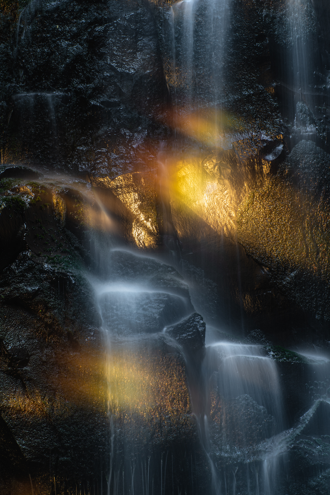 The final moments of sunset shine through a forest and cast pockets of warm sunlight onto a small waterfall in the Pacific Northwest