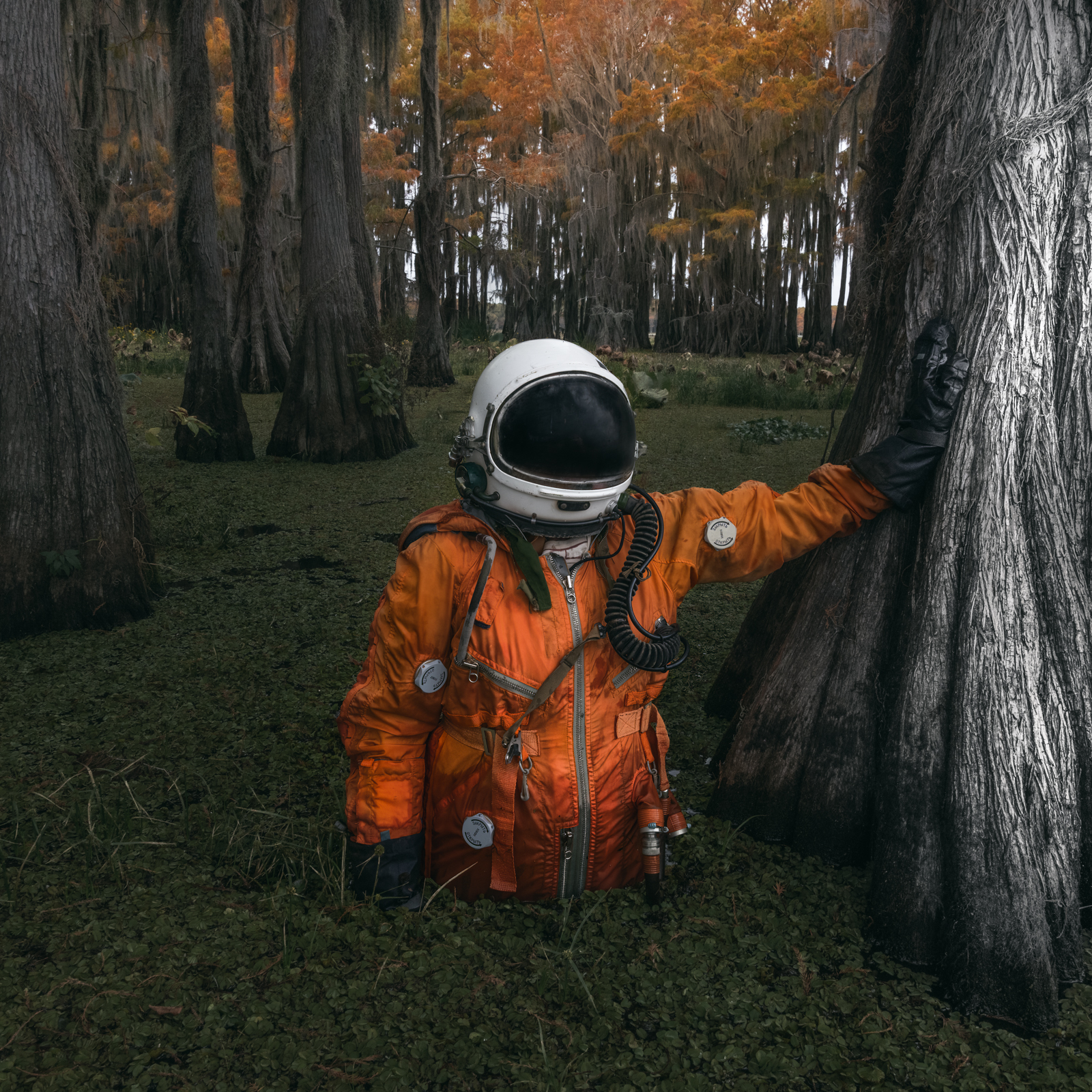 An astronaut makes their way through the otherworldly cypress tree swamps during the peak of autumn
